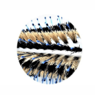 8ae5c3e3ef685bc355688731b76ea533.png